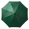 393_90_5_tif_1000x1000