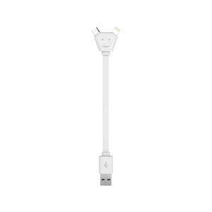 фото USB-переходник «Y Cable»