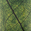 7389_30_7_tif_1000x1000