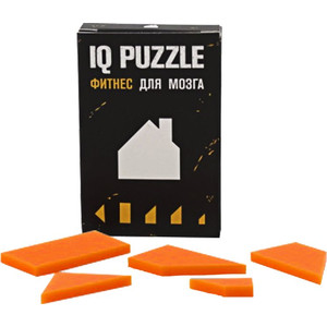 фото Головоломка IQ Puzzle, домик