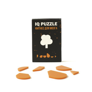 фото Головоломка IQ Puzzle, дерево