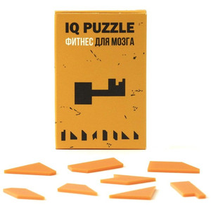 фото Головоломка IQ Puzzle, ключ