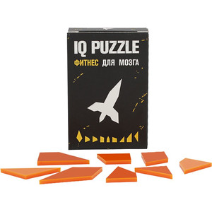 фото Головоломка IQ Puzzle, ракета